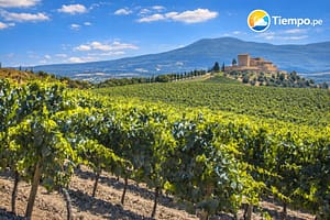 clima_en_rioja_san_martin_tiempo_peru